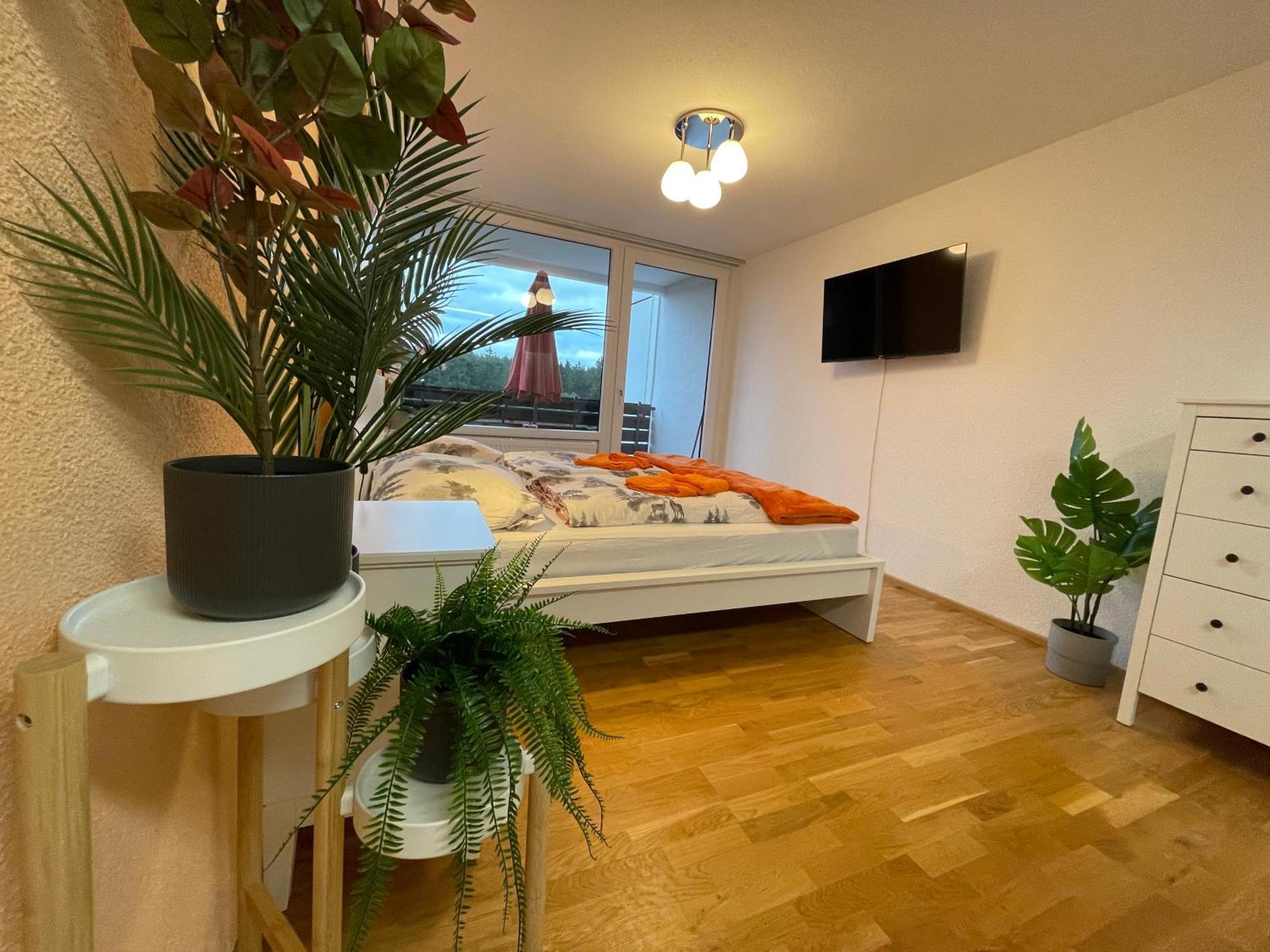 Ferienwohnung In Freudenstadt-Kniebis III 外观 照片